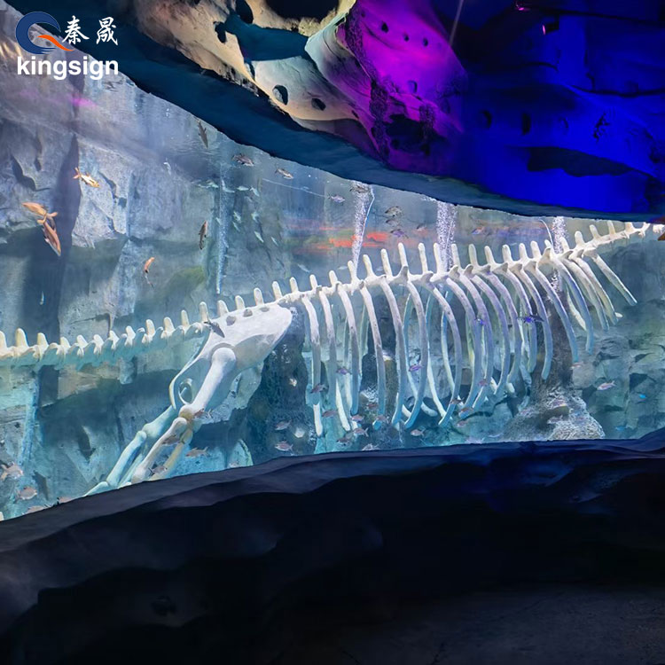 Aquarium Windows သည် ကြီးမားသောစကေးကြည့်ရှုခြင်းအတွေ့အကြုံများကို မည်သို့တိုးတက်စေသနည်း။